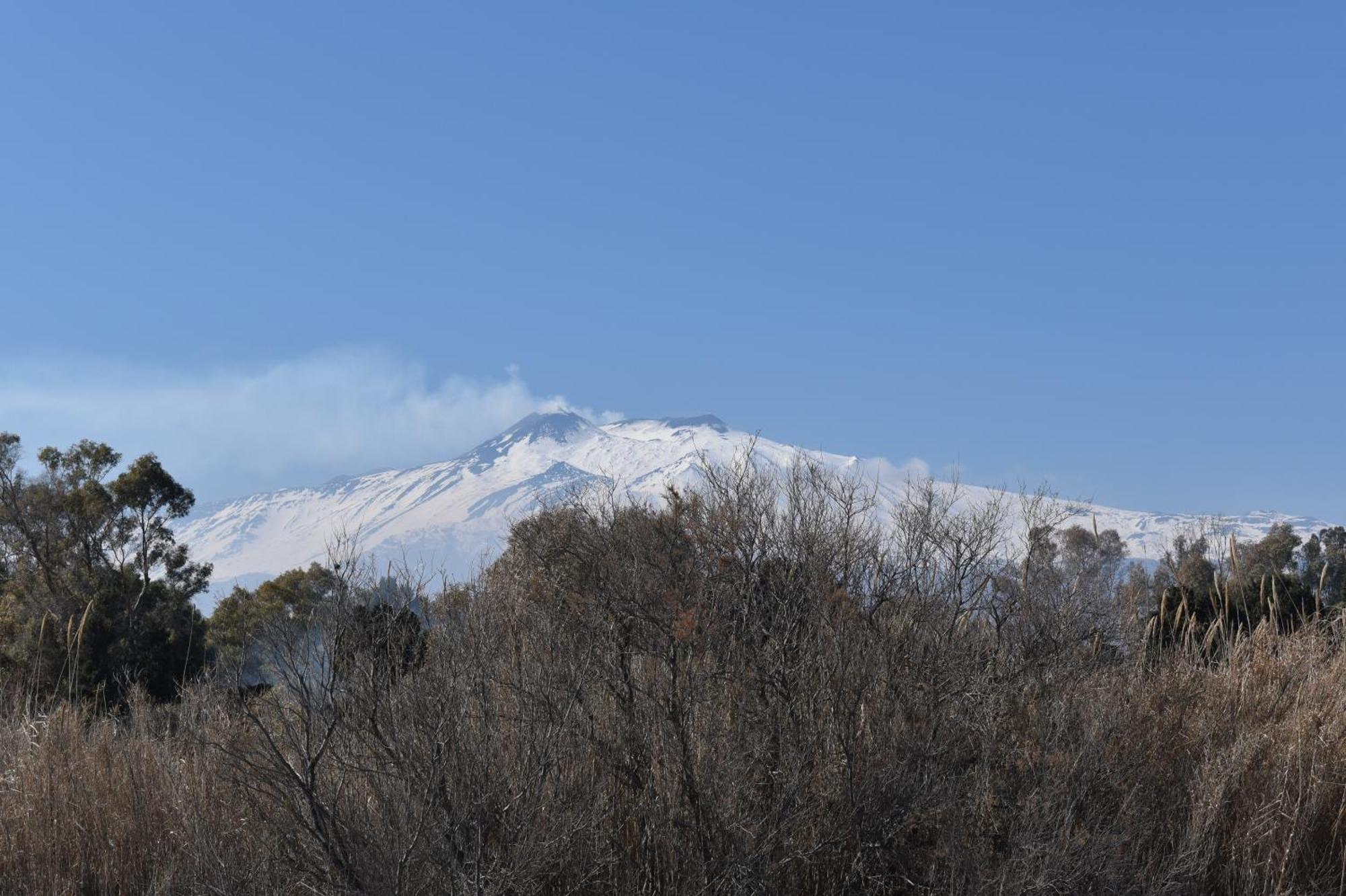 La Corte Fiorita Holiday home Catania